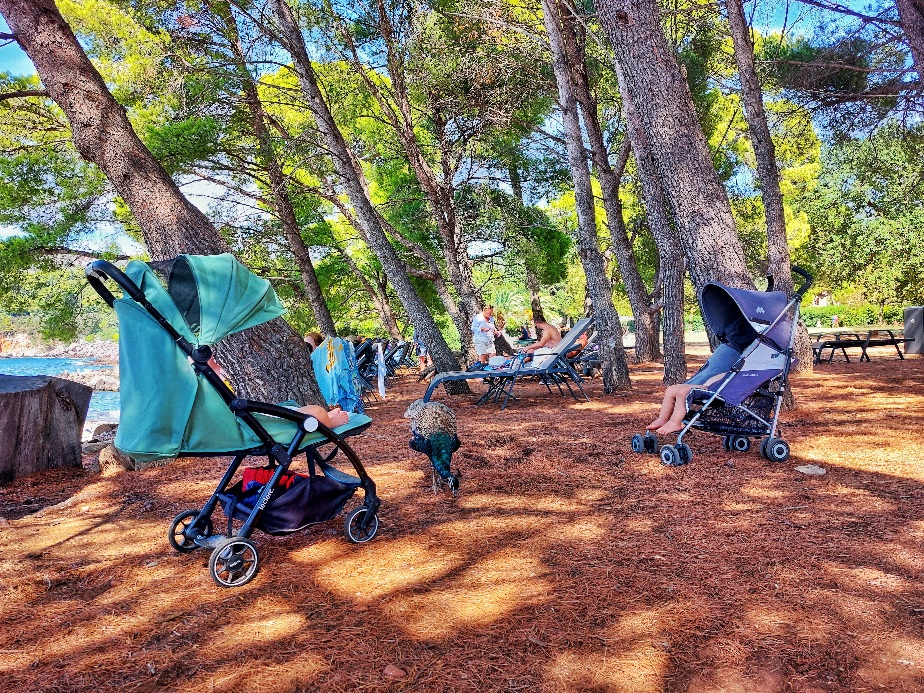 Our kids sleeping in the shades of Lokrum island with a peacock in background